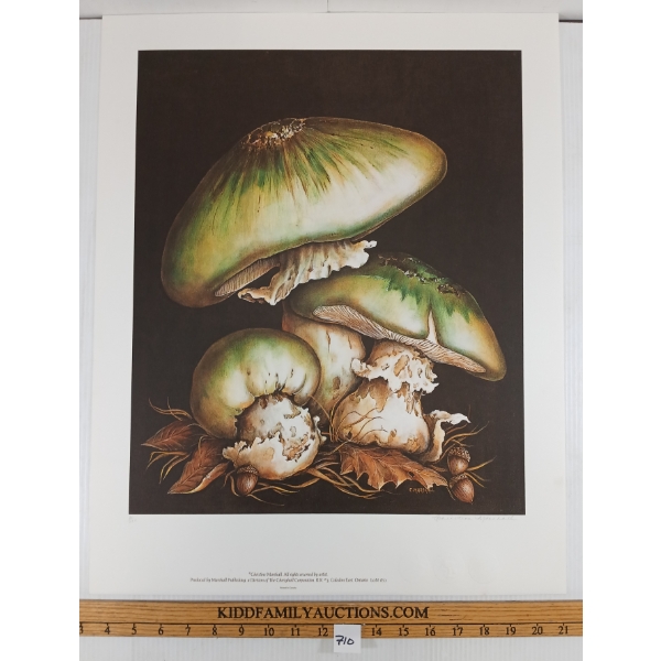 "MUSHROOMS IN GREEN" BY CHRISTINE MARSHALL (PRS CDN ARTIST) - LITHO PRINT