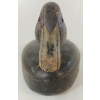 Image 3 : RED EYED DECOY DUCK 