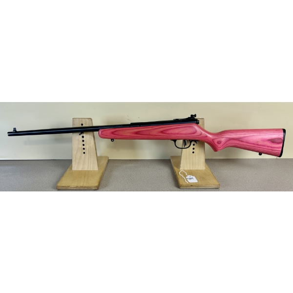 SAVAGE CUB IN .22 S, L, & LR 