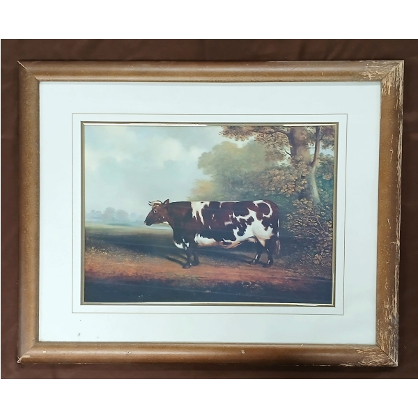 PRIZE HEIFER BY UNKNOWN ARTIST - FRAMED PRINT