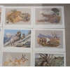 Image 6 : REMINGTON'S PORTFOLIO OF BIG GAME BY BOB KUHN - INCL "DOWN-WIND CAT," ETC