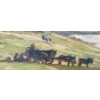Image 2 : FARMLAND SCENE BY JULIEN VICTOR DELPY - FRAMED PRINT(?)