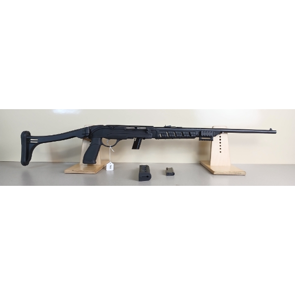 SAVAGE MODEL 64 IN .22 LR