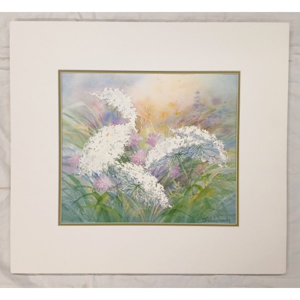 QUEEN ANNE'S LACE STUDY BY FREDA WRENCH (PRS CDN ARTIST) - WATERCOLOUR ON PAPER