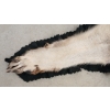 Image 4 : TIMBER WOLF SKIN RUG
