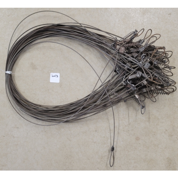 QTY OF SNARES