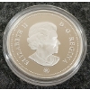 Image 2 : 2007 PROOF STERLING SILVER DOLLAR - CELEBRATING THAYENDANEGA 