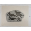 Image 2 : 1979 "THE SEA PEOPLE" BY KALVAK / EGUTAK - STONECUT 