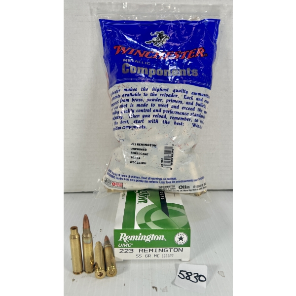 AMMO / BRASS: 20X LIVE & 163X BRASS .223 REM - 55 GR FMJ