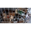 Image 5 : SHELF LOT - INDUSTRIAL CONTENTS - SHELF NOT INCLUDED