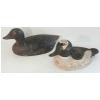 Image 1 : LOT OF 2 - GOLDEN EYED DECOY DUCKS 