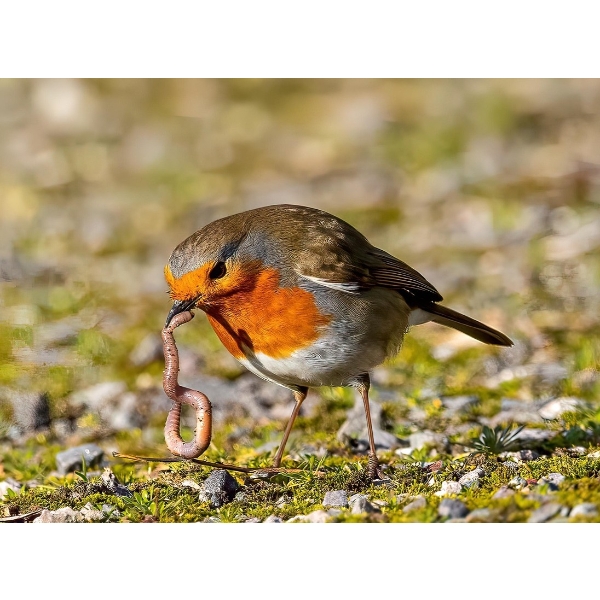 HEADS UP: SATURDAY'S AN EARLY BIRD – THE FINAL SESSION BEGINS CLOSING AT 9AM ON SATURDAY.