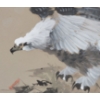 Image 2 : CHINESE EAGLE - SIGNED - FRAMED INK ON PAPER