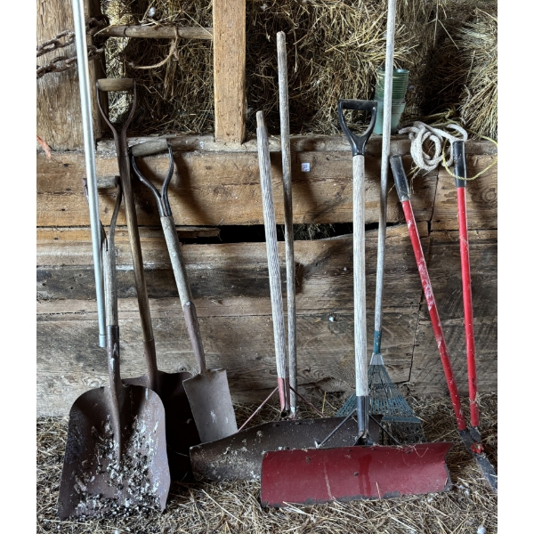 JOB LOT - GARDEN TOOLS