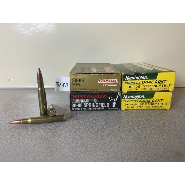 AMMO/BRASS: 14X LIVE/66X BRASS MIXED .30-06 