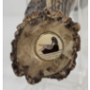 Image 3 : HUNTING KNIFE W/ ANTLER HANDLE & SHEATH