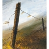 Image 2 : BARBED WIRE IN FIELD BY WINSTON - FRAMED OIL CANVAS BOARD