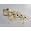 Image 3 : MONSTER - SIGNED - BONE