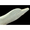 Image 6 : SPIRIT FIGURE BY UNKNOWN ARTIST - BONE