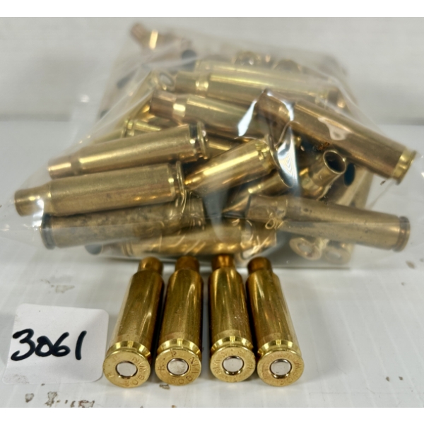 BRASS: APPROX 75X .308 WIN - PRIMED