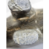 Image 9 : MUSKOX - SIGNED - STONE