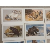 Image 3 : REMINGTON'S PORTFOLIO OF BIG GAME BY BOB KUHN - INCL "DOWN-WIND CAT," ETC