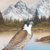 Image 2 : PEREGRINE FALCON BY ANNE HOLLINGSWORTH (PRS CDN ARTIST) - FRAMED ACRYLIC ON CANVAS