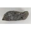 Image 7 : WALRUS ON ROCK - SIGNED - STONE