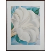 Image 2 : LOT OF 6 - MISC PRINTS BY GEORGIA O'KEEFEE (1887 - 1986) - INCL "WHITE TRUMPET FLOWER," ETC