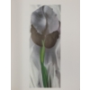 Image 4 : 1987 "ONE HUNDRED FLOWERS" BY NICHOLAS CALLAWAY - HARDCOVER PUBLICATION