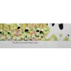 Image 3 : "MARE & FOAL IN SPRING" BY MAUD LEWIS (1903 - 1970) - PRINT