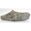 Image 7 : BEAR BUST BY UNKNOWN ARTIST - STONE