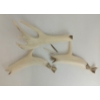 Image 8 : TWO WHALES W/ STAND BY UNKNOWN ARTIST - BONE