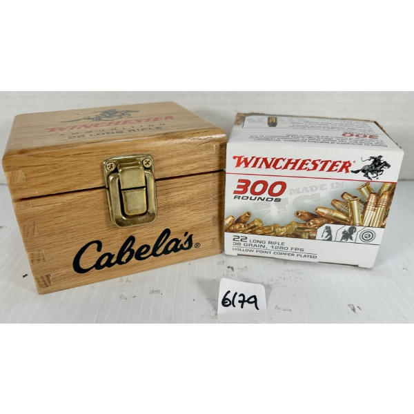 AMMO: 300X WINCHESTER .22 LR 36GR. HP 