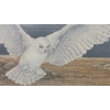 Image 2 : SNOWY OWL BY CHRISTINE MARSHALL (PRS CDN ARTIST) - FRAMED PRINT