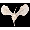 Image 1 : SPIRIT FIGURE BY UNKNOWN ARTIST - BONE