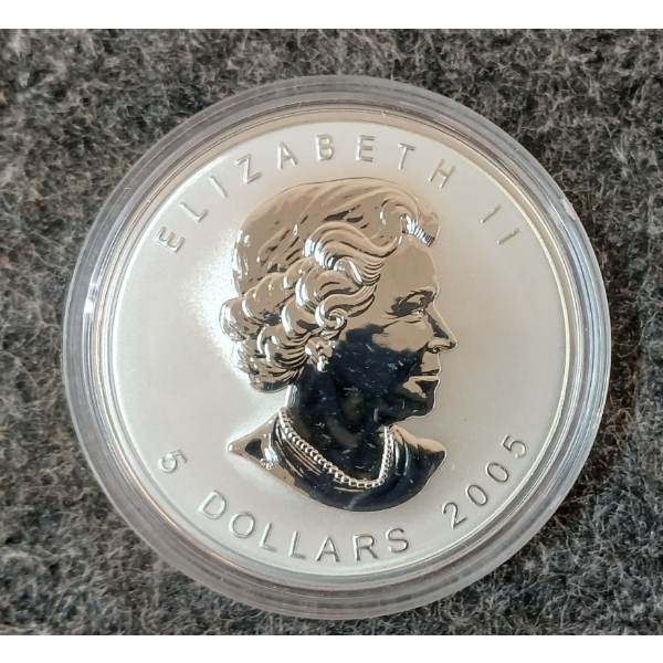 2005 RCM MAPLE LEAF OF HOPE 10OZ SILVER COIN