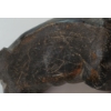 Image 8 : WALRUS BY ABRAHAM KASUDLUAK (PRS CDN ARTIST) - ANTLER & STONE