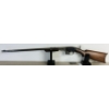 Image 1 : SAVAGE GALLERY PUMP IN .22 S, L, & LR 