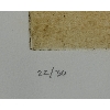 Image 2 : "WALRUS" BY ANDREI A. ETTYNTEGEU - SALTWATER ETCHING