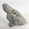Image 6 : "SEDNA" BY PAUL TOOLOOKTOOK - STONE