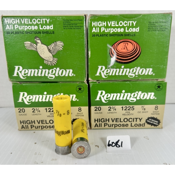 AMMO: 80X REMINGTON 20 GA 2-3/4 IN - #8