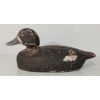 Image 5 : GOLDEN EYED DECOY DUCK BY ADAM BROWN