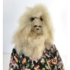 Image 3 : DOLL BY UNKNOWN ARTIST - CLOTH & FUR