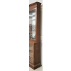 Image 3 : PHARMACEUTICAL BREAKFRONT DISPLAY CABINET - MAHOGANY - LATE VICTORIAN