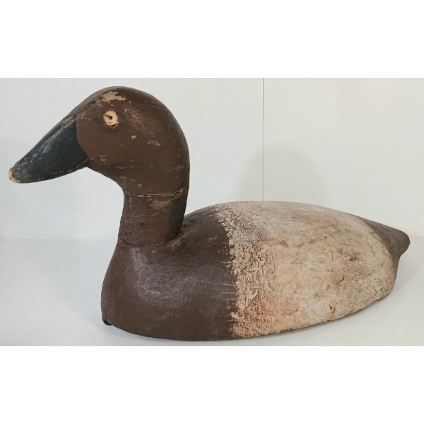 RED-HEADED DECOY DUCK