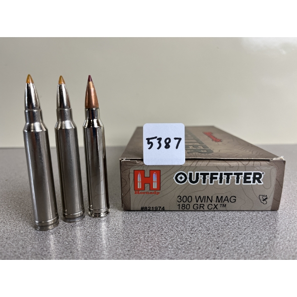 AMMO: 20X MIXED .300 WIN MAG INCL FEDERAL AND HORNADY 180 GR. CX