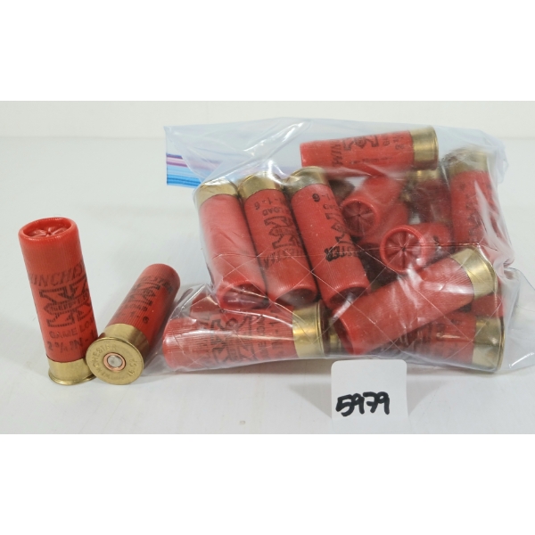 AMMO: 25X WINCHESTER  SUPER X 16GA - 2 3/4IN - #6 SHOT