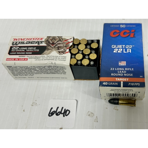 AMMO: 100X .22 LR