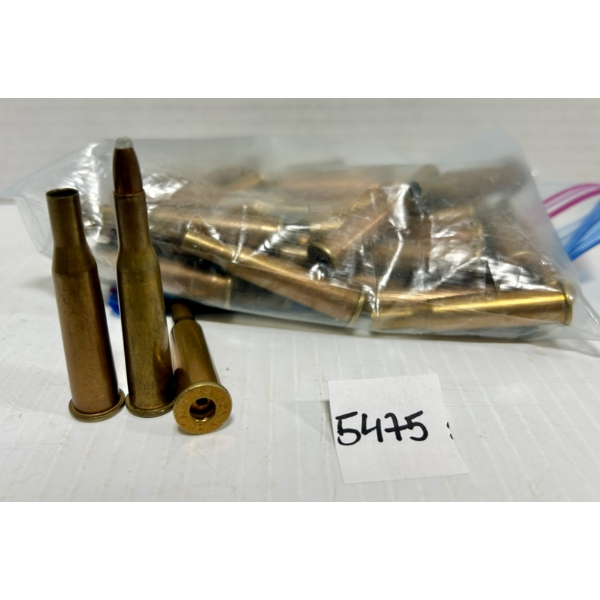 AMMO/BRASS: 1X LIVE & APPROX 30X BRASS .22 SAV HP